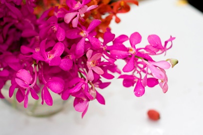 ไฟล์:GL 24X36 FLOWERY 021 PM.jpg