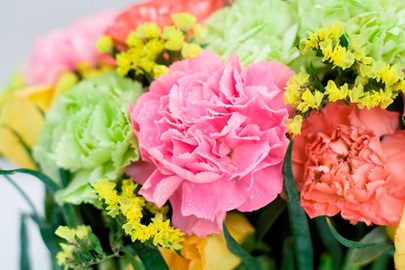 ไฟล์:GL 24X36 FLOWERY 013 PM.jpg