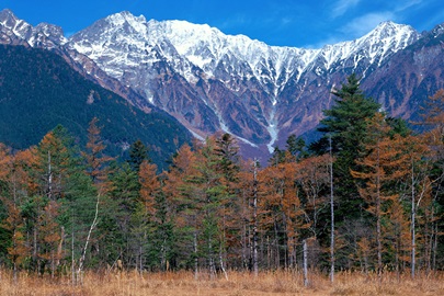 ไฟล์:GL 24X36 SCENERY 065 PM.jpg