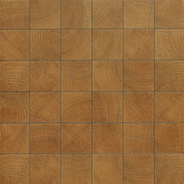 ไฟล์:FT-ANNUAL-RING-BROWN-18X18-1.jpg