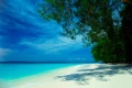 รูปย่อสำหรับรุ่นเมื่อ 14:44, 5 เมษายน 2562