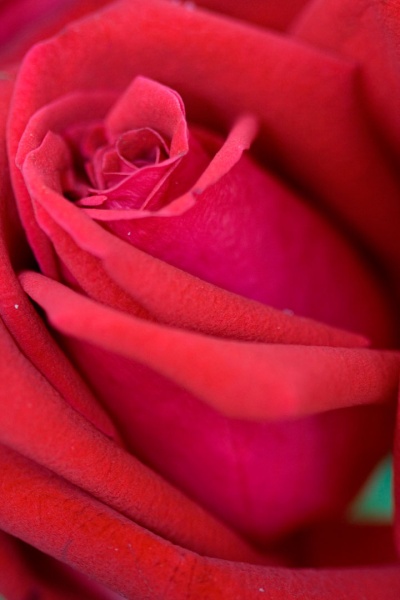 ไฟล์:GL 24X36 FLOWERY 008 PM.jpg