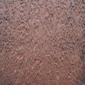 กระเบื้องคอนกรีตปูพื้น เอสซีจี รุ่น เอิร์ธเพฟ ลายเชสวูด 3 สีวอลนัท.jpg