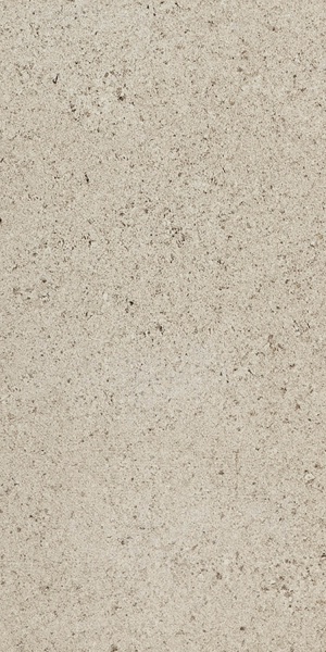 BUILDTECH GG Bone Naturale 40x80 cm..jpg