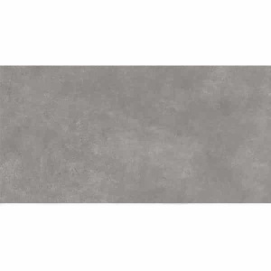 CEMENTUM PLOMB NAT 60X120cm. 745132.jpg