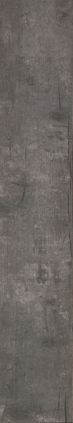 ไฟล์:TAIGA Var 15x90 cm..jpg